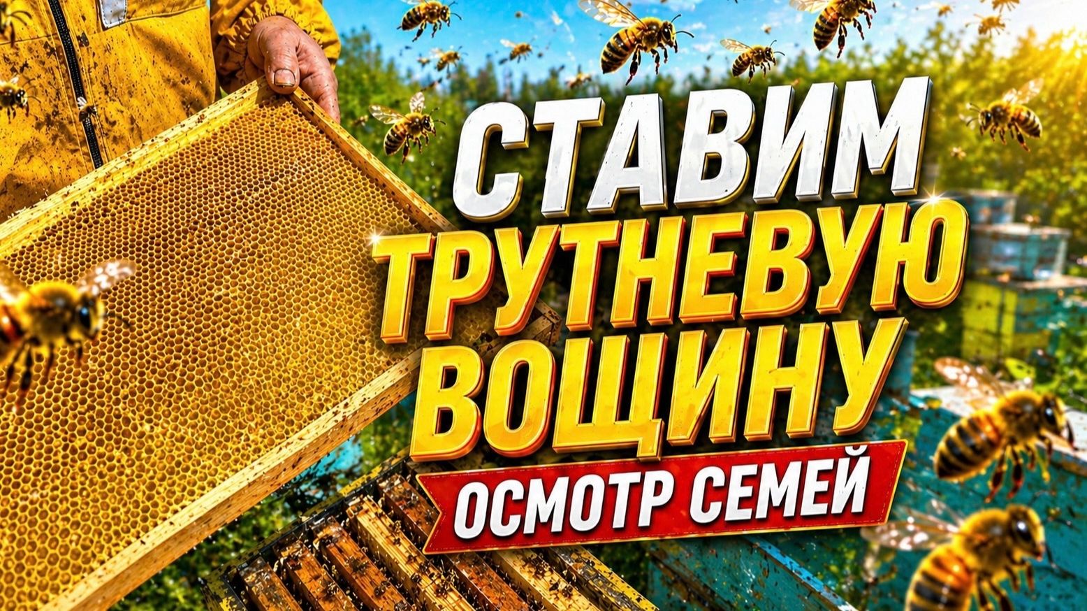 Ставим трутневую вощину. Осмотр семеи