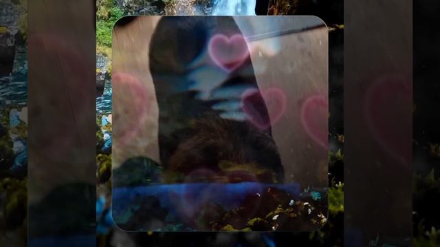 1000057043.mp4 Собака наблюдает за устройством лестницы на 2-ой этаж в доме А-фрейм