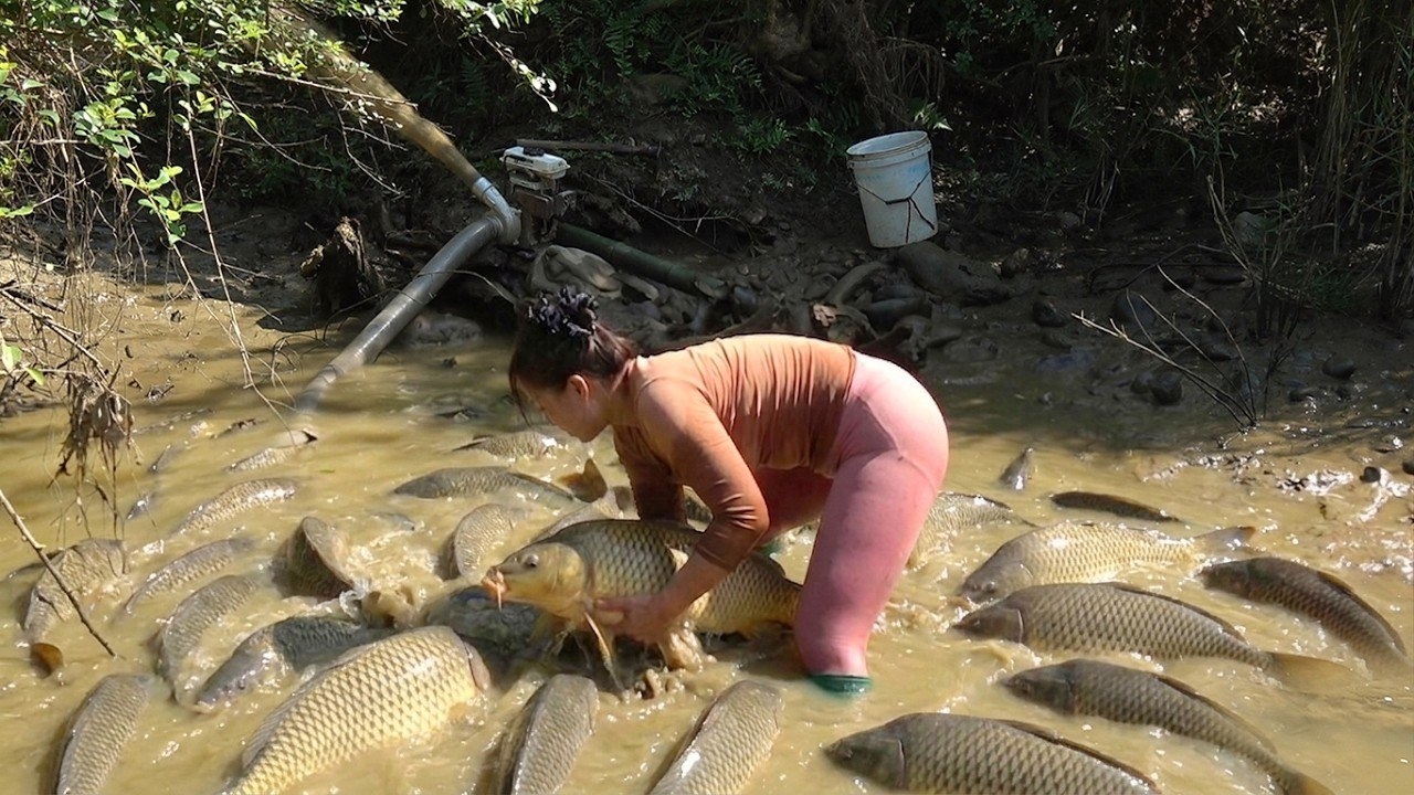 Интересная техника ловли рыбы. Откачиваю воду из озер и ловлю много крупной рыбы.