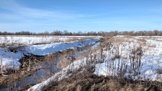Ручей в поле весной