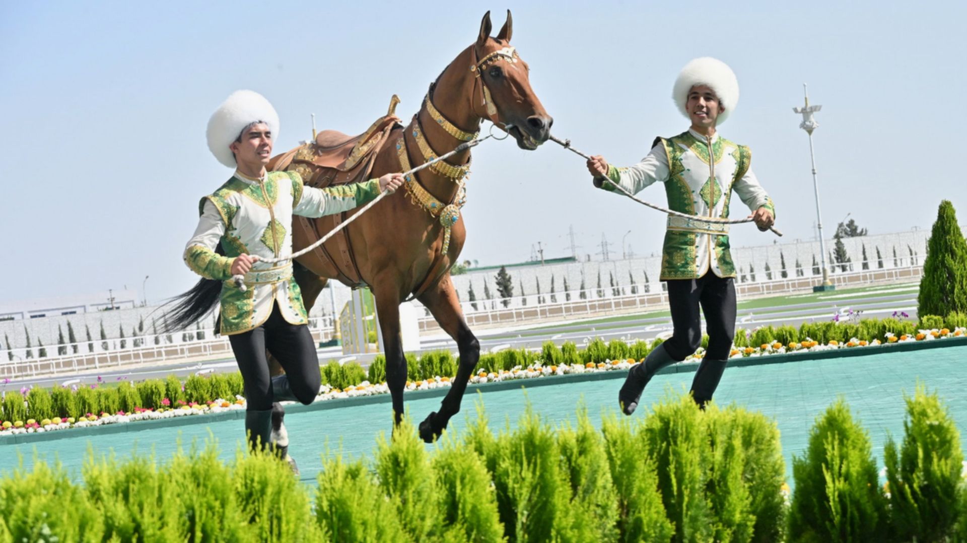 Самого красивого ахалтекинца выберут в Туркменистане