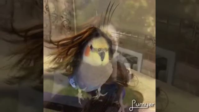 Муняша Женяша