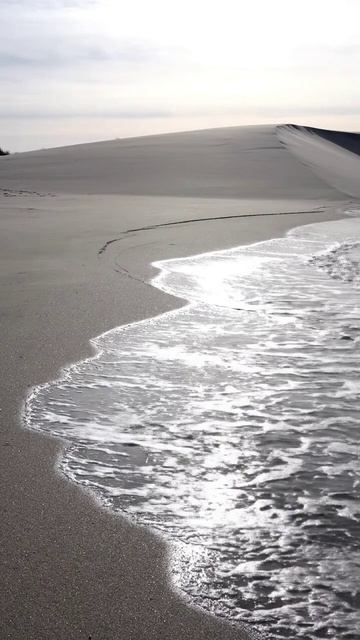 Берег который сам себя выравнивает