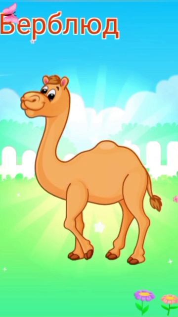 Мульт-развивашка детский познавательный мультфильм видео-головоломка.