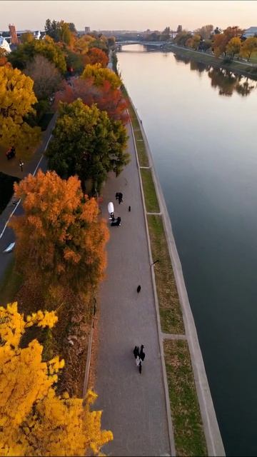 Осень на набережной: красивые прогулки и природные краски осень пейзаж прогулка