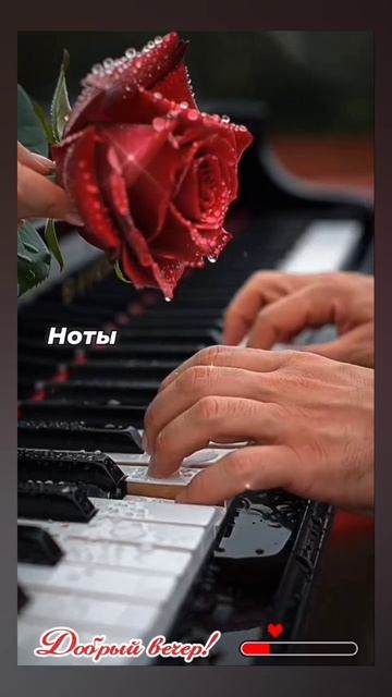 ДОБРЫЙ ВЕЧЕР!  26.04.2026г. Уюта и тепла в доме доброты и нежности в душе! 