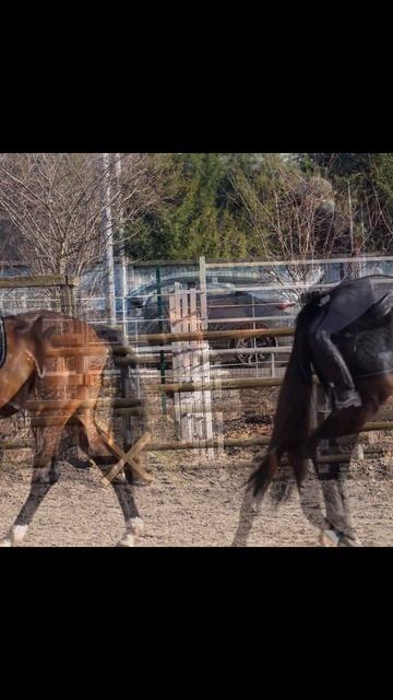 Copy_9856B129-3874-40C6-BD75-4C039E5913E0