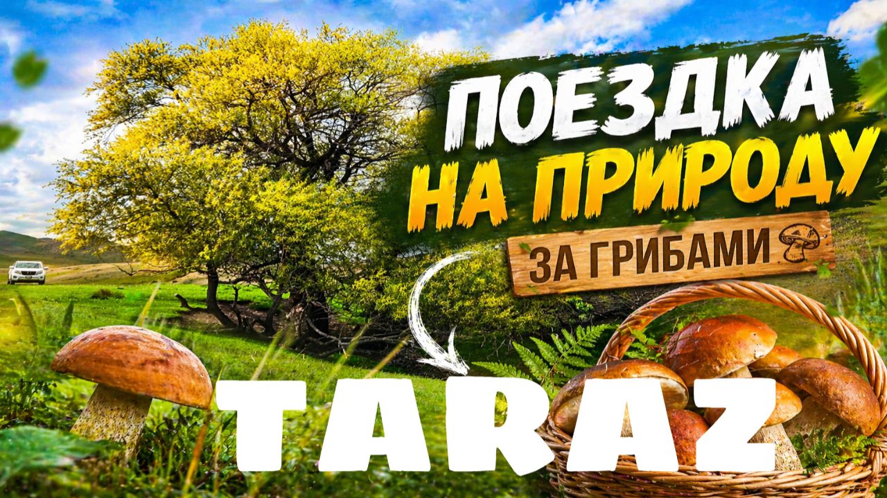 За грибами весной 2026