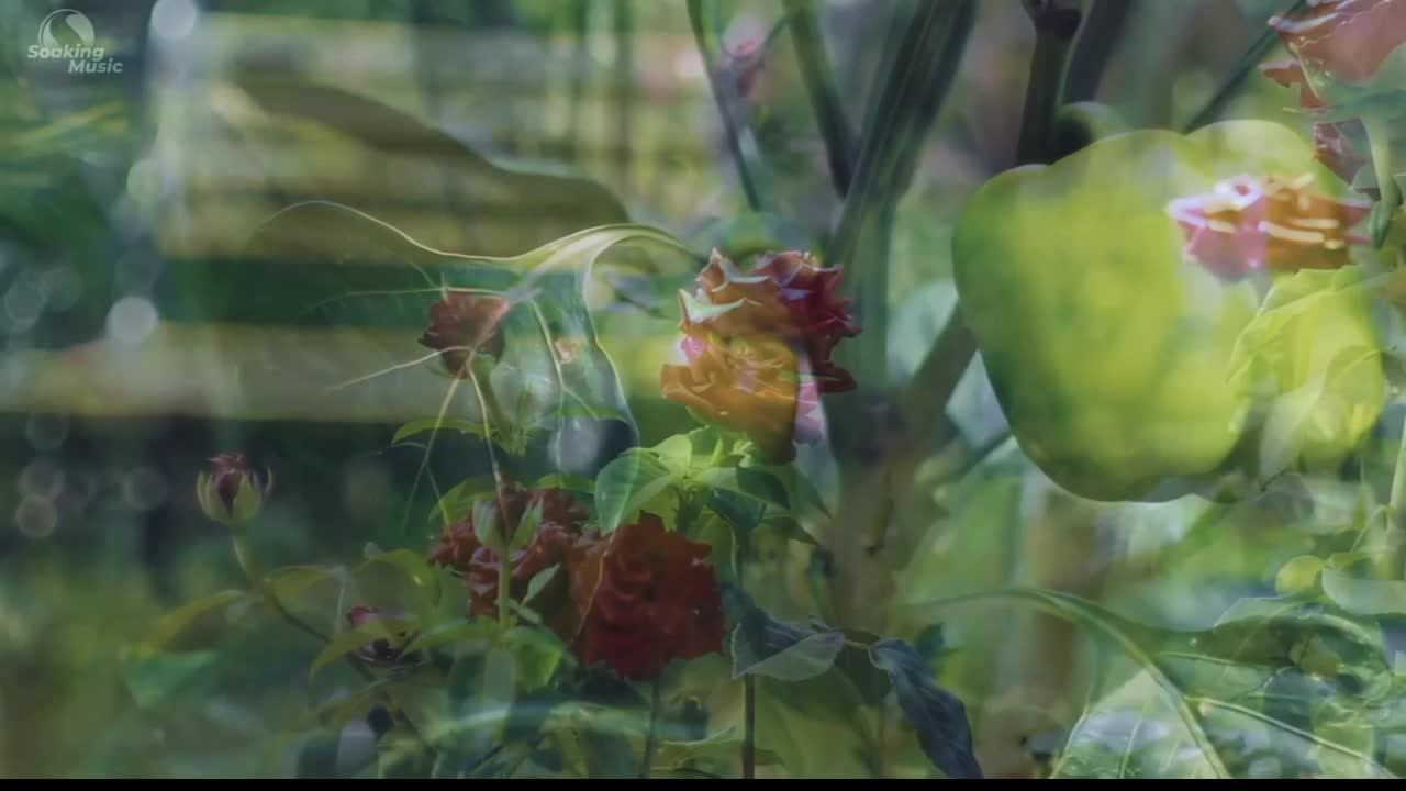 Служение христианской миссии  Река Течёт 