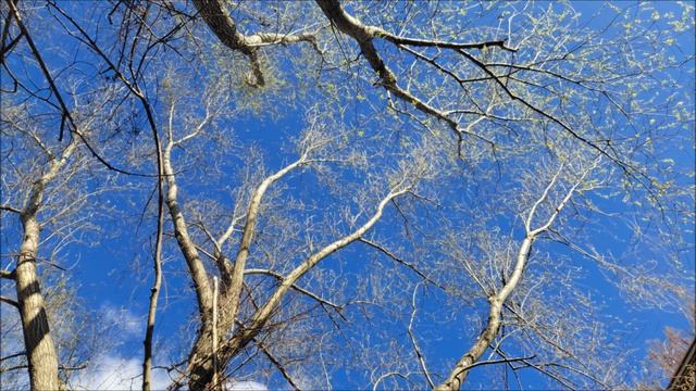 Торопим лето.