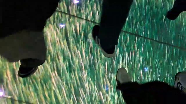 Кроличья нора парк Галицкого город Краснодар