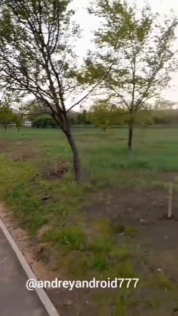 Приморский парк Мариуполя