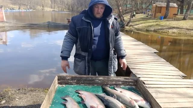 25.04.26 г. РК Волна.