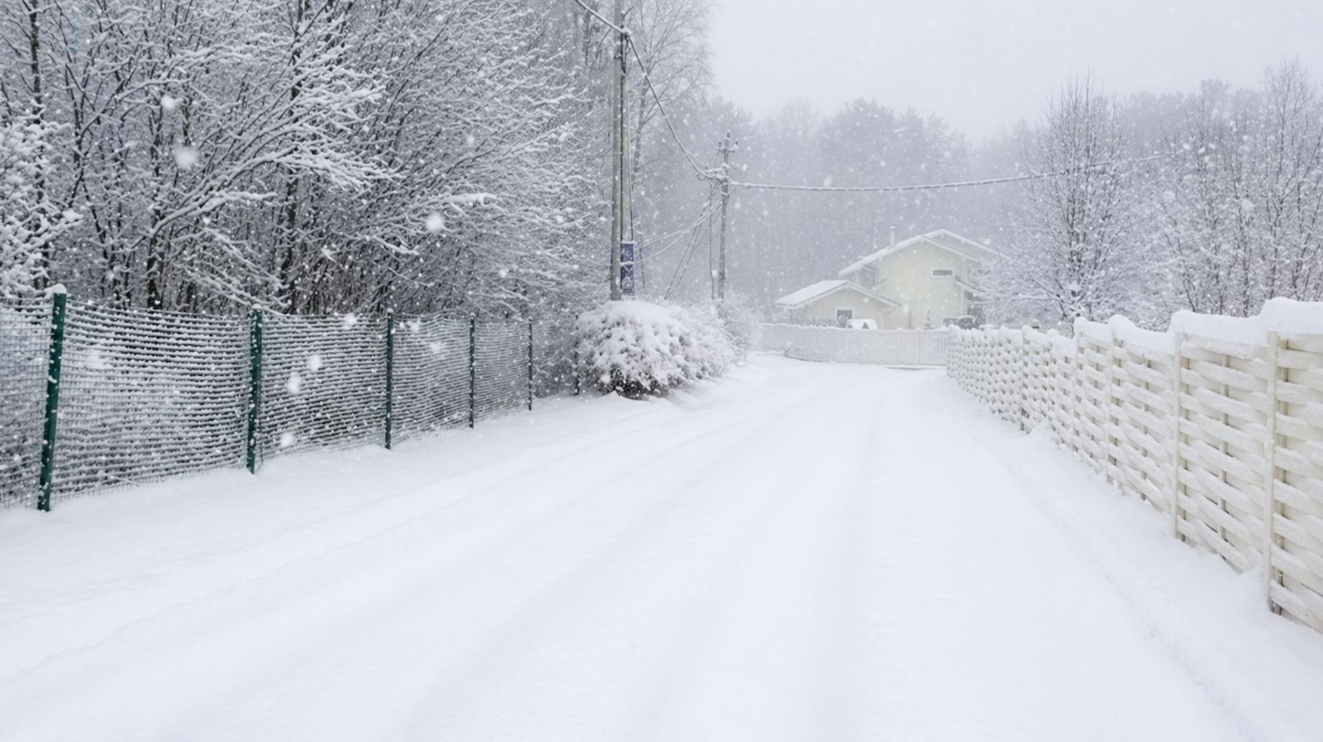 Ленобласть замело снегом: дороги и пирсы засыпаны толстым слоем осадков