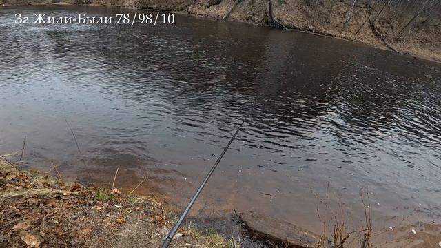 Мы были в шоке! Погоды клева.