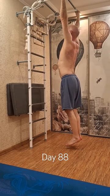 Тренировочная практика. День 88