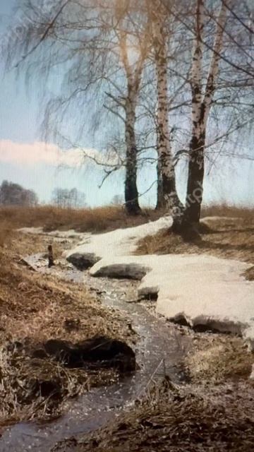 Стихотворение Ручей. Автор - И.П. Токмакова