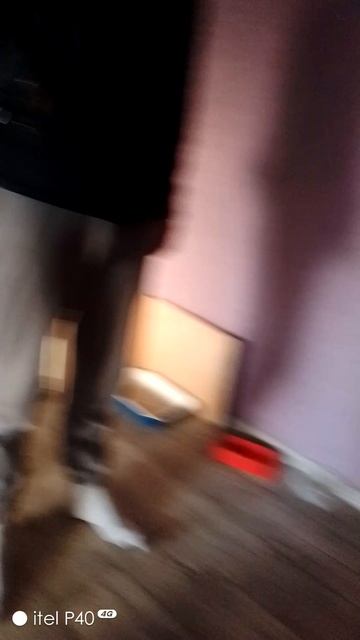 VID_20260425_192737.mнррp4