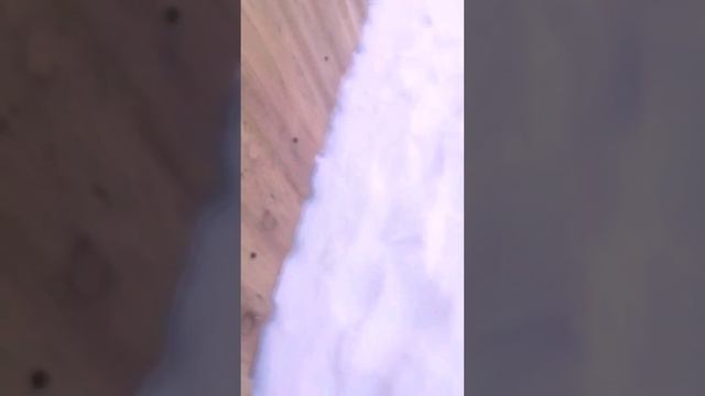 Гулянка по дому