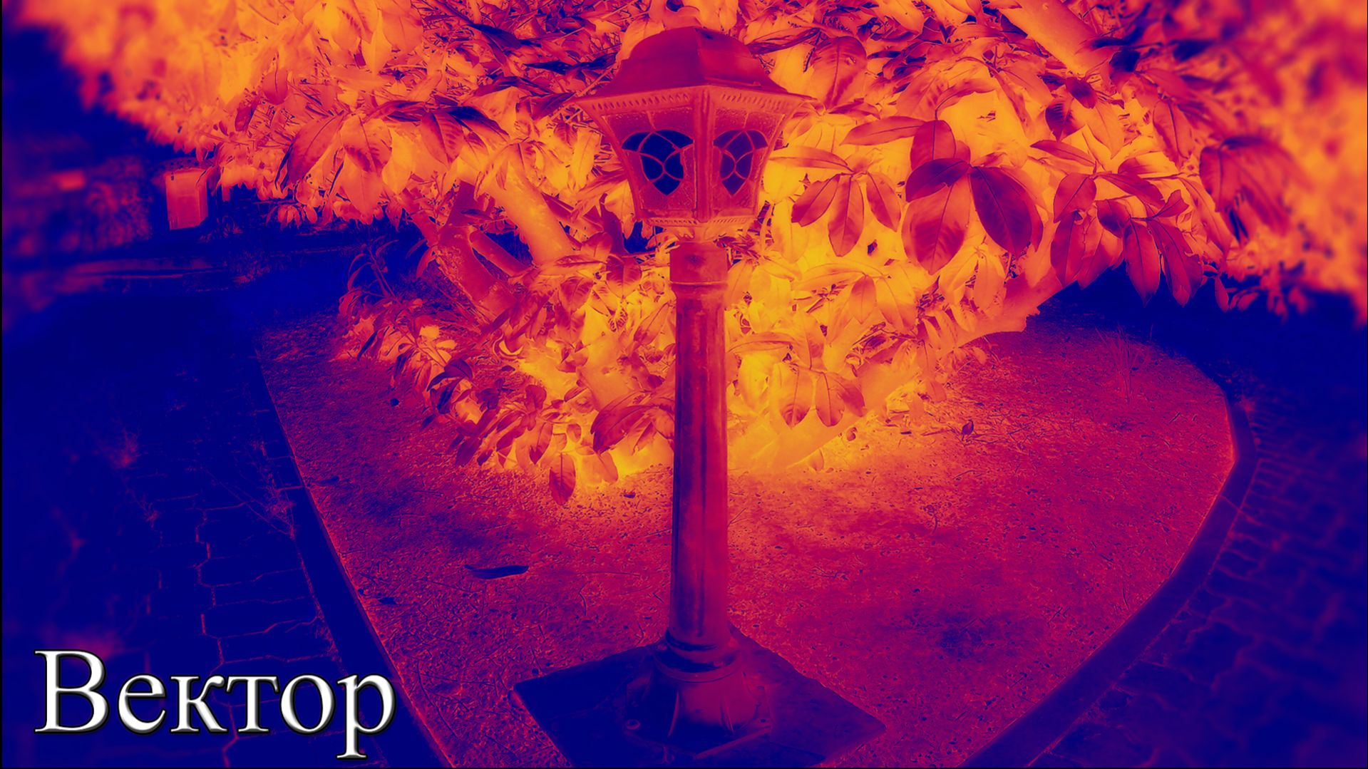 Rossijnin - Вектор