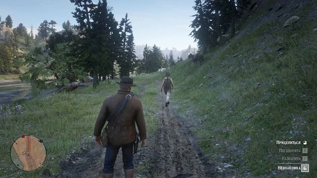 Red Dead Redemption 2 часть 9