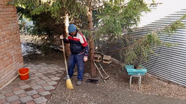 теплое утро в диком зоопарке