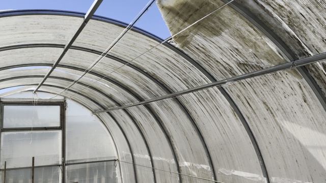 Я свою теплицу холила и лелеилаа она рухнула .Замена поликарбоната будет.