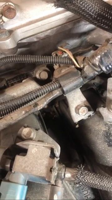 Мой первый визит в СТО Автопилот. Приговор для подшипников генератора.