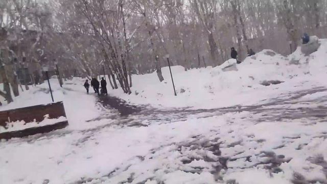 VLOGзимний влог