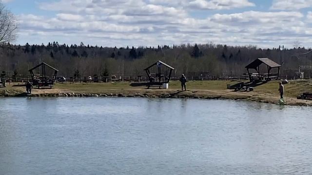 утренние поимки форели