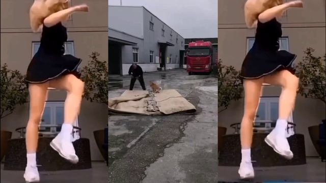 Четвероногий помощник