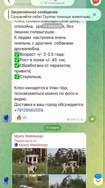 АНАНДА ОТЧЕТ ПЕРЕД ПОДПИСЧИКАМИ