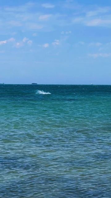 Почему выбирают нас?