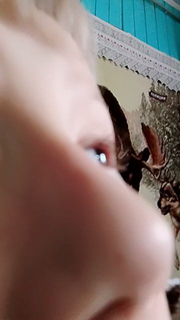 коляной электрик