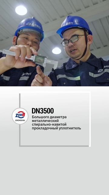 DN3500 Металлическая спирально-навитая прокладка большого диаметра-ZHENGHAI SEAL-1