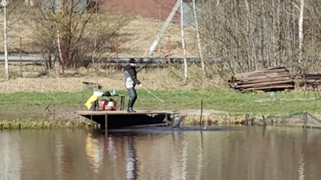 Светлые Горы Форель 25.04.2026г.