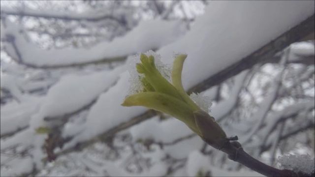 Всё должно быть в своё время.
