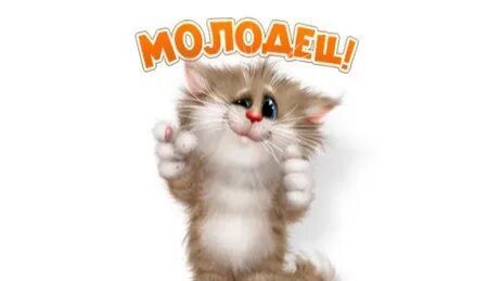 Выполнение презентации по лабораторной работе 11