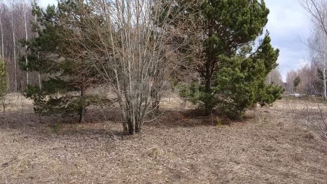 4f65f4aba63a5715f4716528e590ce2008c04582