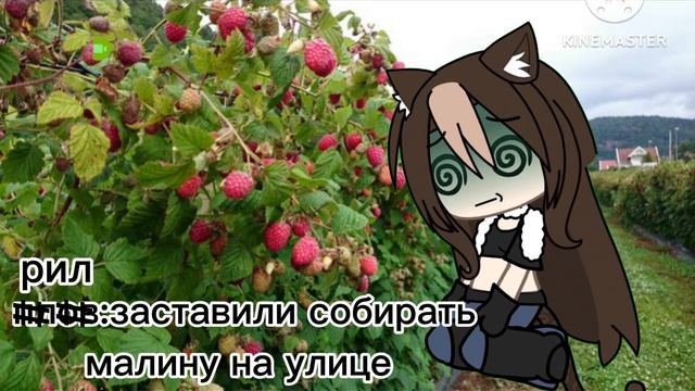 -:: давайте добьём уже 200 пожалуйста !!