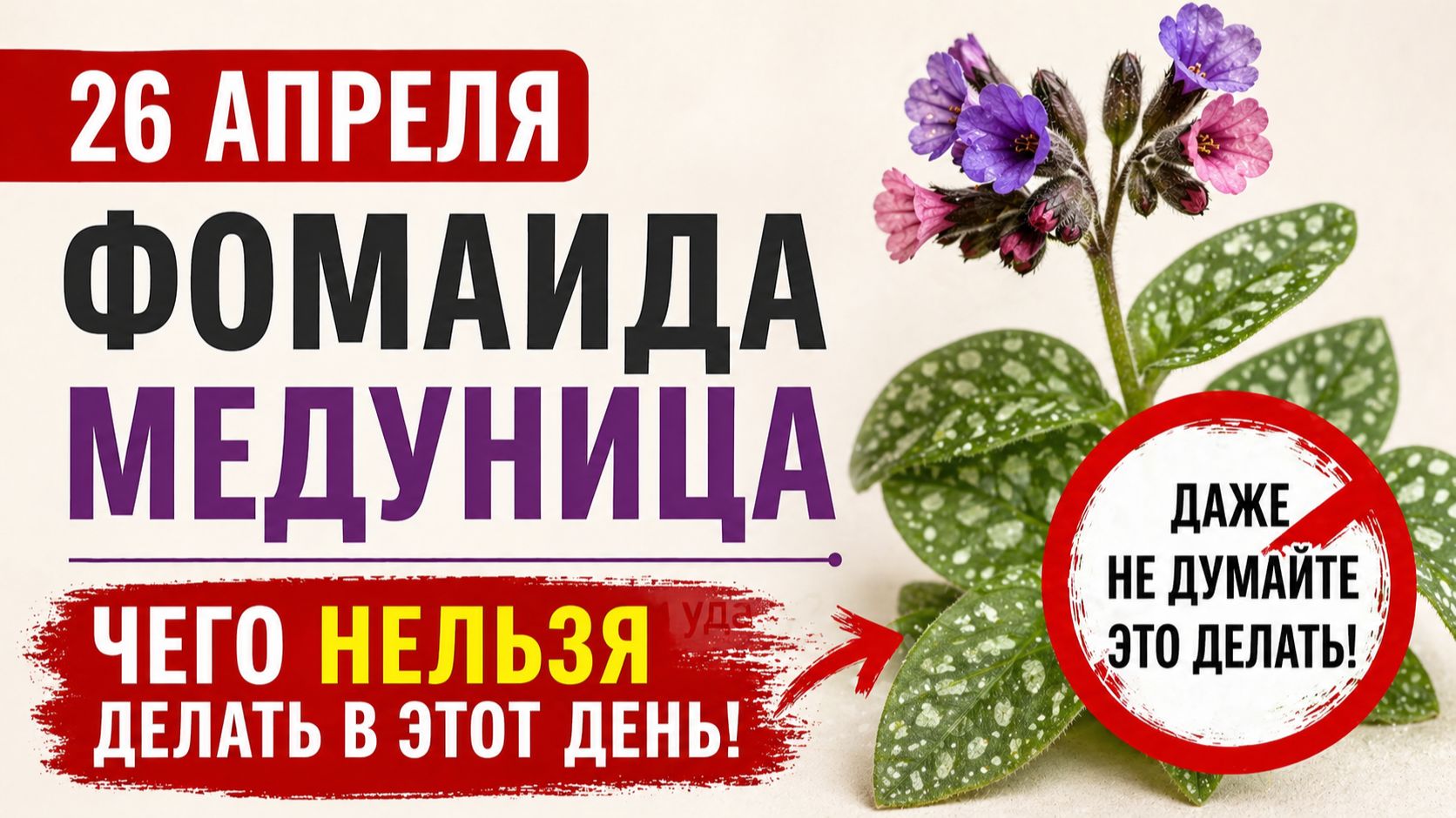 26 апреля день Фомаиды Медуницы. Что запрещается делать в этот день какие приметы