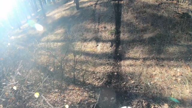 Эндуро прохват под музыку 4. Первые шаги в эндуро. 2023 год.