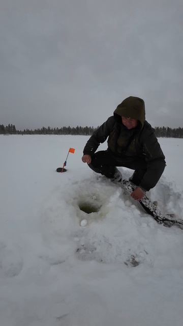 23.04.26 Щука на жерлицу
