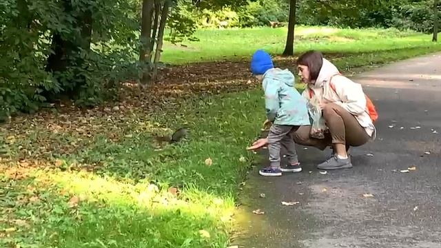 Санкт-Петербург. Елагин остров замечательный лесопарк. Много белочек