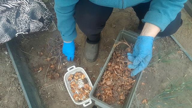 НА ДАЧЕ 24.04.2026