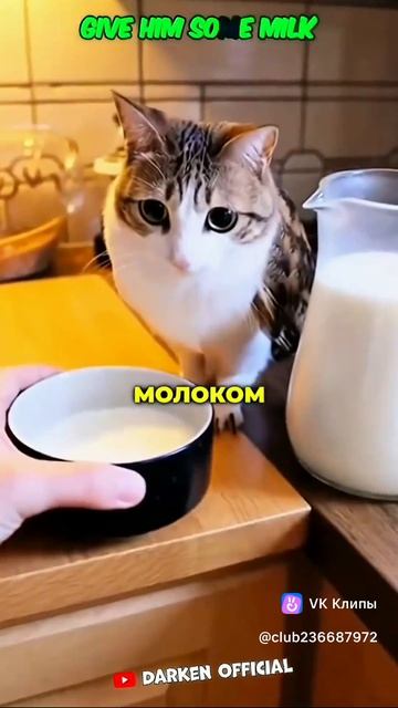 поставь лайк