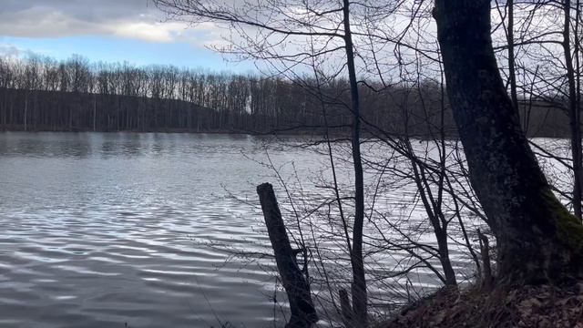 Лесное озеро