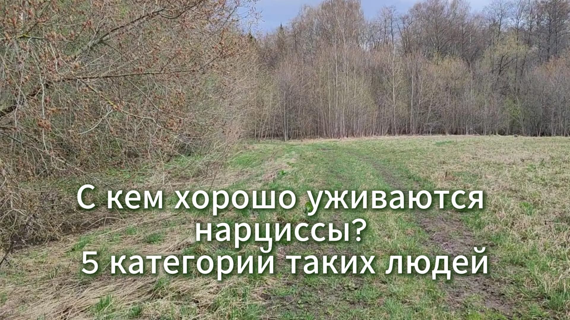 С кем хорошо уживаются нарциссы? 5 категорий таких людей