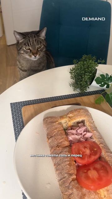 Завтрак в чиабатте