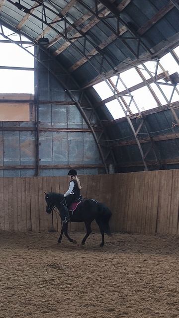 София и Наоми переход с галопа в рысь и выезд на среднюю линию в манеже.